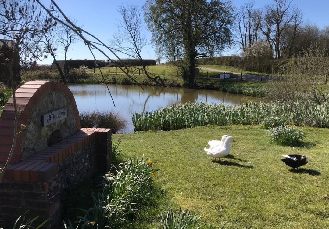 🐣 Easter Fayre at Offley Hoo Farm 2025 at Offley Hoo Farm, Hoo Lane, SG5 3ED Great Offley | Adults, Craft Fair, Family, Food/Drink, Free Entry, Fun, Kids, Outdoor | Suitable for: Children, Family, Toilets 🐣 Easter Fayre at Offley Hoo Farm 2025 - Event Image 3 April 19, 2025 10:00 AM