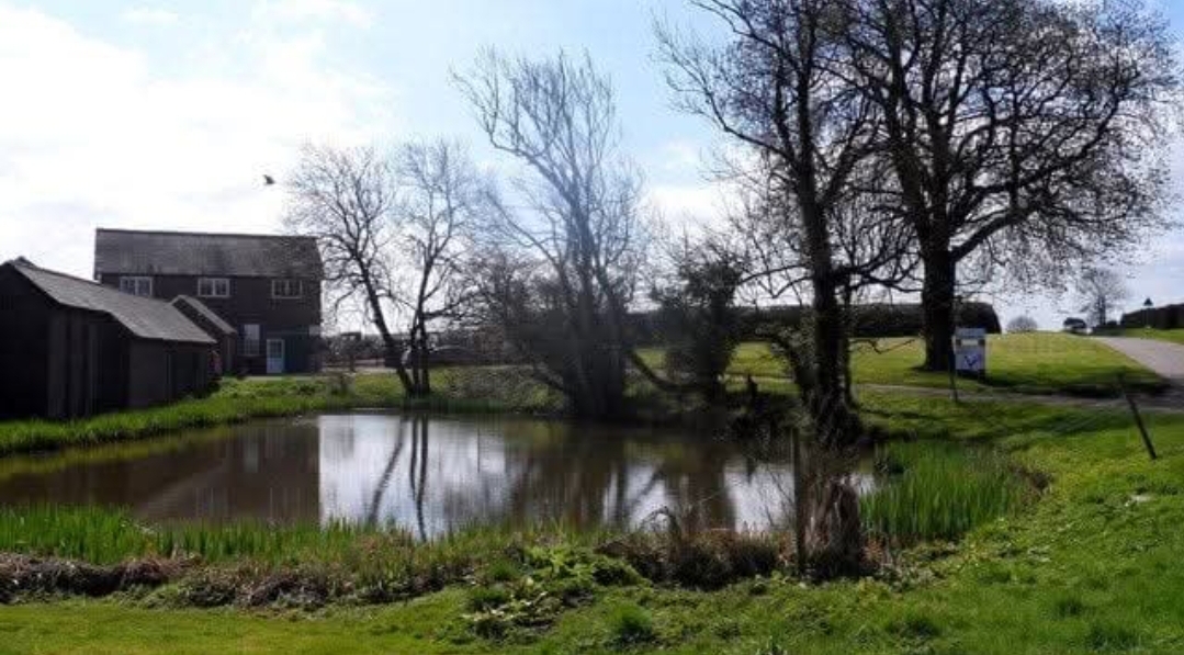 🐣 Easter Fayre at Offley Hoo Farm 2025 at Offley Hoo Farm, Hoo Lane, SG5 3ED Great Offley | Adults, Craft Fair, Family, Food/Drink, Free Entry, Fun, Kids, Outdoor | Suitable for: Children, Family, Toilets 🐣 Easter Fayre at Offley Hoo Farm 2025 - Event Image 4 April 19, 2025 10:00 AM