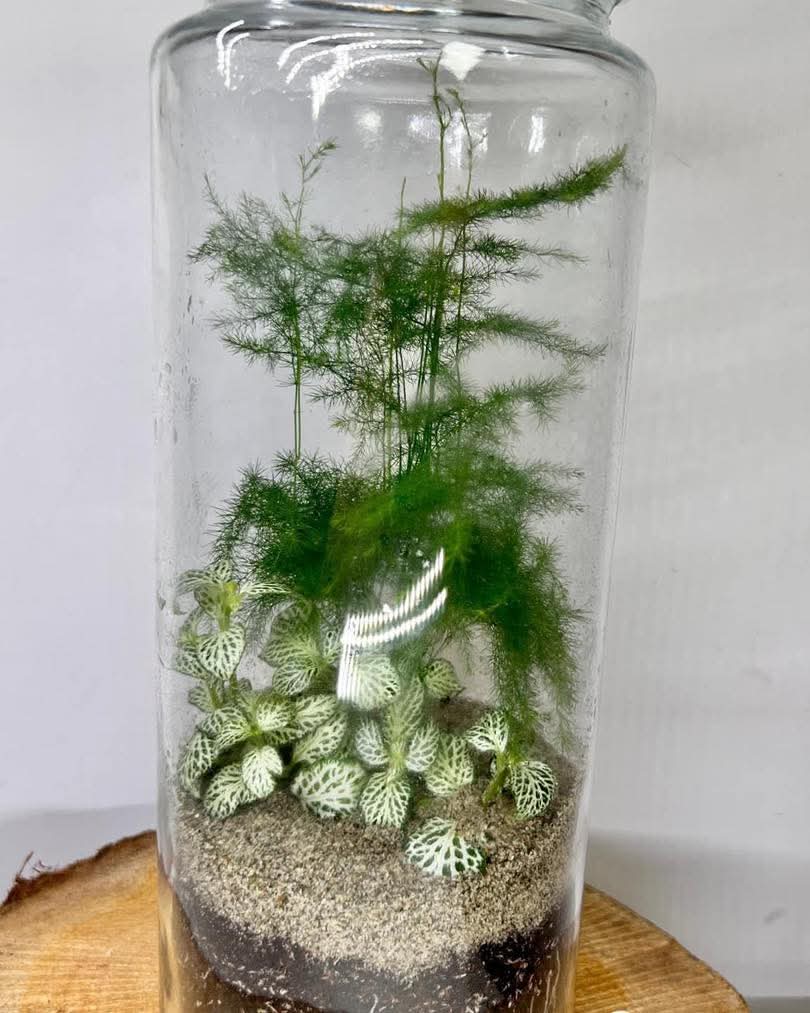 🛍 Made in Stony Artisan Market at The Cock Hotel, Stony Stratford - Event Image 7 April 26, 2025 10:00 AM