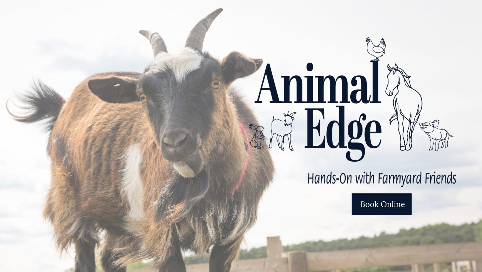 🐐 Animal Edge Family Fun Day May 2025 - Original Event Image | Advance Booking, Animals, Attractions, Baby/Toddlers, Family, Food/Drink, Fun, Outdoor, Ticket Event, Kids, Play Area | Suitable for: Children, Family, Free Parking, Parking Onsite, Toilets 🐐 Animal Edge Family Fun Day May 2025 - May 05, 2025 10:00 AM at Animal Edge, Fordfield Road, Millbrook
MK45 2HZ