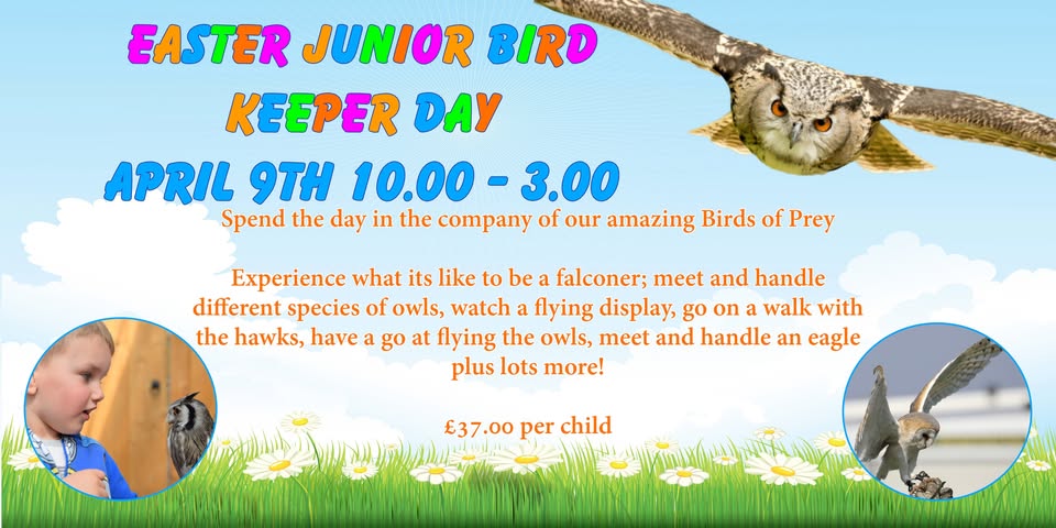 🦉 Easter Junior Bird Keeper Day - Bird of Prey Centre, Wilstead - April 09, 2025 10:00 AM at Herrings Green Activity Farm & Bird of Prey Centre, Bedford, MK45 3DT, United Kingdom