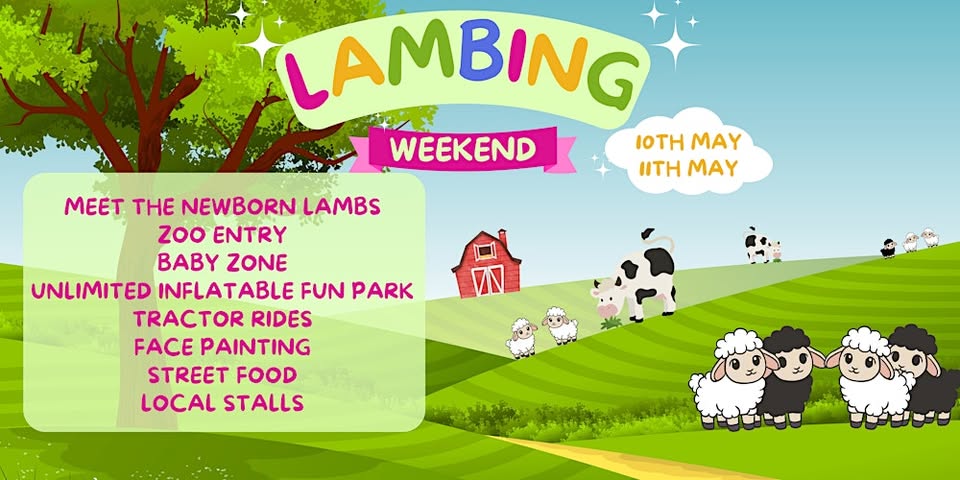 🐑 Lambing Weekend May 2025 at Oaklands College, St Albans - Original Event Image | Animals, Fun, Outdoor, Advance Booking, Entertainment, Food/Drink, Market, Ticket Event, Baby/Toddlers, Kids | Suitable for: Parking Onsite, Toilets, Children, Family 🐑 Lambing Weekend May 2025 at Oaklands College, St Albans - May 10, 2025 10:00 AM at Oaklands College, Hatfield Road, Saint Albans, AL4 0JA