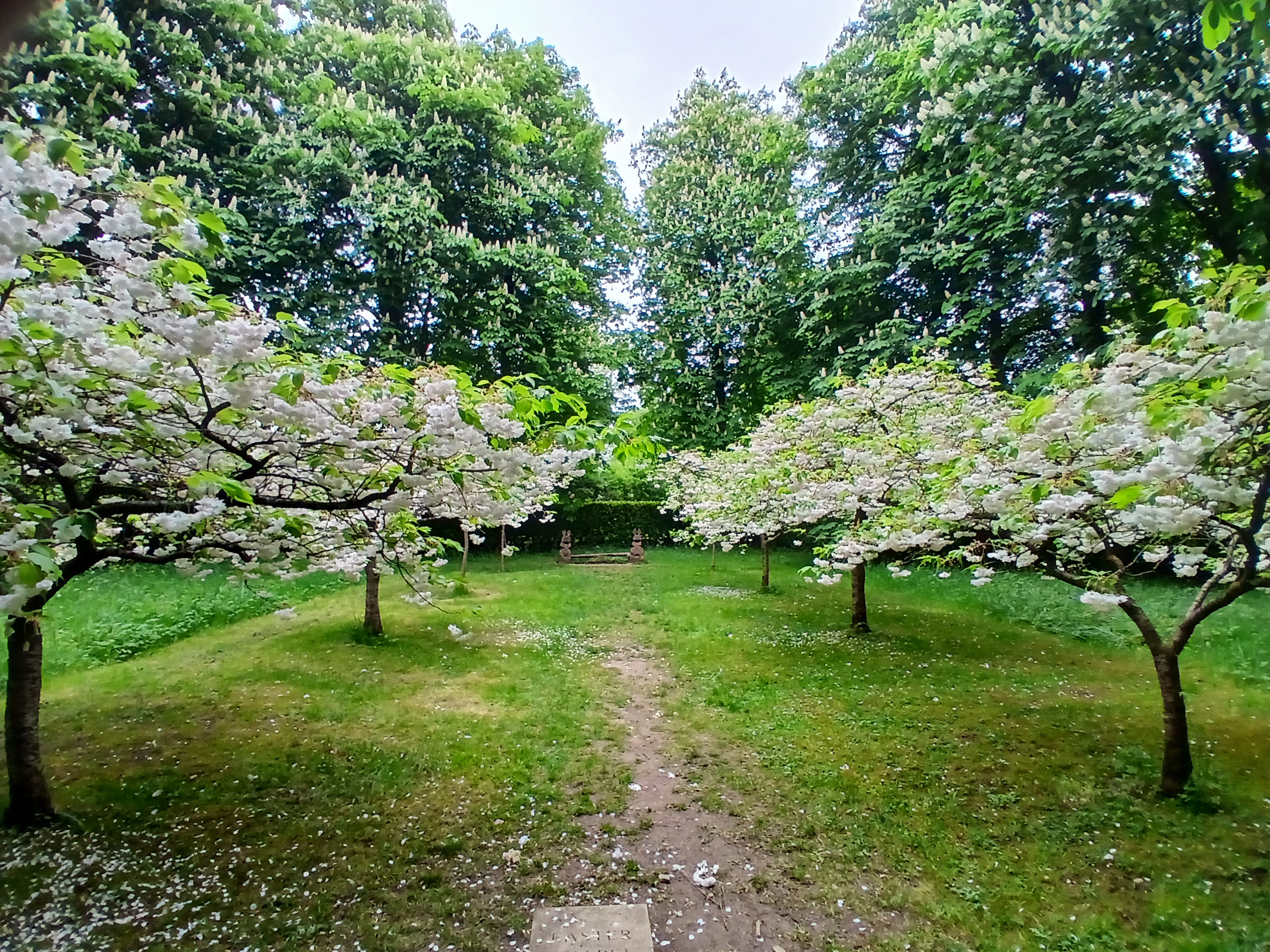 🌳 Tree Cathedral Picnic & Celebration 2025 - Whipsnade at National Trust, Whipsnade Tree Cathedral,
Whipsnade, Dunstable, Bedfordshire, LU6 2LQ | Adults, Annual, Date Idea, Food/Drink, Free, Free Entry, Fun, History & Heritage, Outdoor, Scenic, Social | Suitable for: Family, Free Parking 🌳 Tree Cathedral Picnic & Celebration 2025 - Whipsnade - Event Image 2 June 08, 2025 11:00 AM