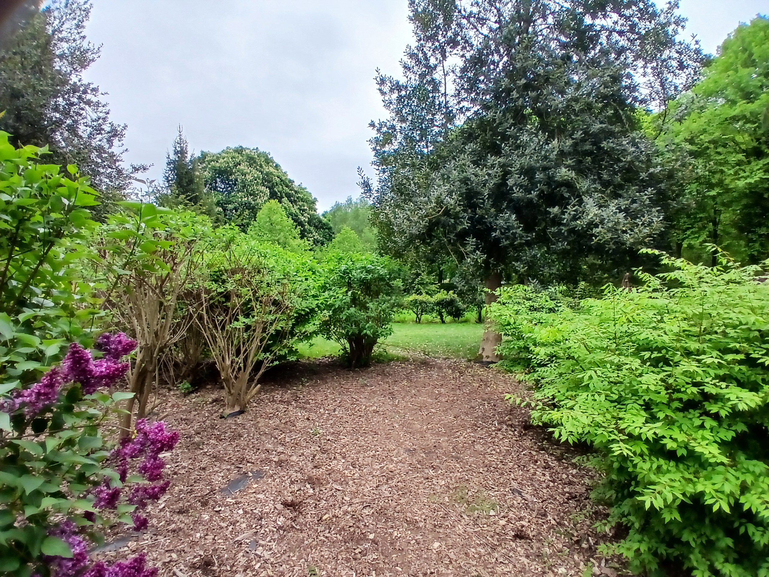 🌳 Tree Cathedral Picnic & Celebration 2025 - Whipsnade at National Trust, Whipsnade Tree Cathedral,
Whipsnade, Dunstable, Bedfordshire, LU6 2LQ | Adults, Annual, Date Idea, Food/Drink, Free, Free Entry, Fun, History & Heritage, Outdoor, Scenic, Social | Suitable for: Family, Free Parking 🌳 Tree Cathedral Picnic & Celebration 2025 - Whipsnade - Event Image 3 June 08, 2025 11:00 AM