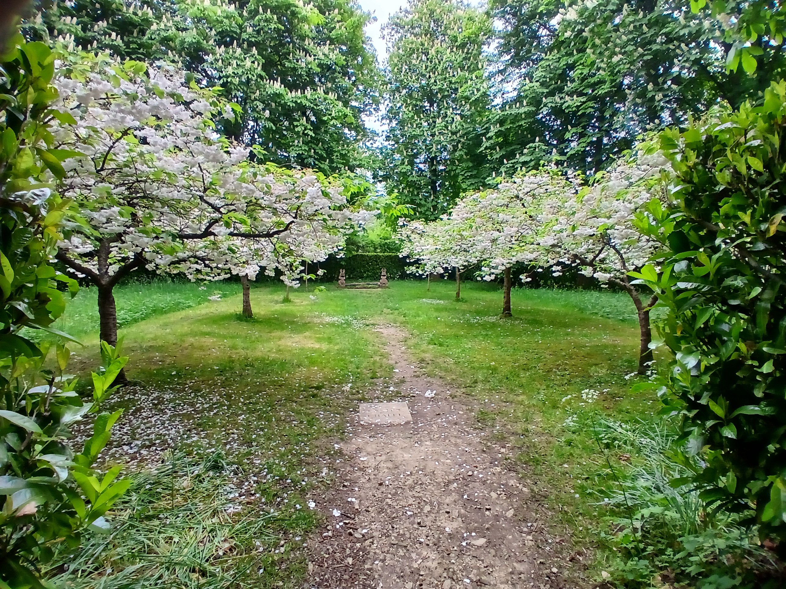 🌳 Tree Cathedral Picnic & Celebration 2025 - Whipsnade at National Trust, Whipsnade Tree Cathedral,
Whipsnade, Dunstable, Bedfordshire, LU6 2LQ | Adults, Annual, Date Idea, Food/Drink, Free, Free Entry, Fun, History & Heritage, Outdoor, Scenic, Social | Suitable for: Family, Free Parking 🌳 Tree Cathedral Picnic & Celebration 2025 - Whipsnade - Event Image 7 June 08, 2025 11:00 AM