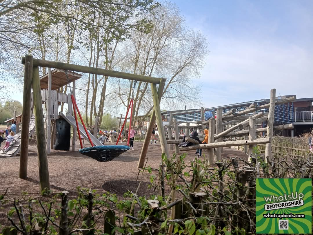 👸 Afternoon Tea with the Princesses - Half Term May 2025 - Marston Moretaine  - Event Image 5 May 27, 2025 12:30 PM