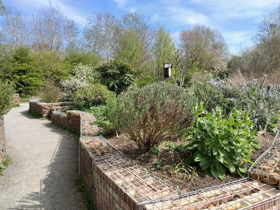 👸 Afternoon Tea with the Princesses - Half Term May 2025 - Marston Moretaine  - Event Image 6 May 27, 2025 12:30 PM