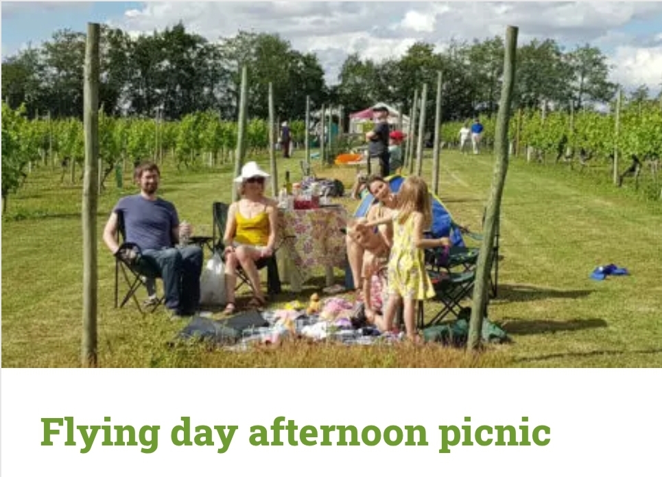 ✈️ Flying Day Afternoon Picnic 2025 - Warden Abbey Vineyard at Warden Abbey Vineyard, Bedford Rd, Biggleswade, Bedfordshire, SG18 9LS | Adults, Advance Booking, Automotive, Date Idea, Family, Food/Drink, Fun, Low Cost, Outdoor, Pay On Entry, Scenic, Ticket Event | Suitable for: Family ✈️ Flying Day Afternoon Picnic 2025 - Warden Abbey Vineyard - Event Image 2 August 16, 2025 03:00 PM