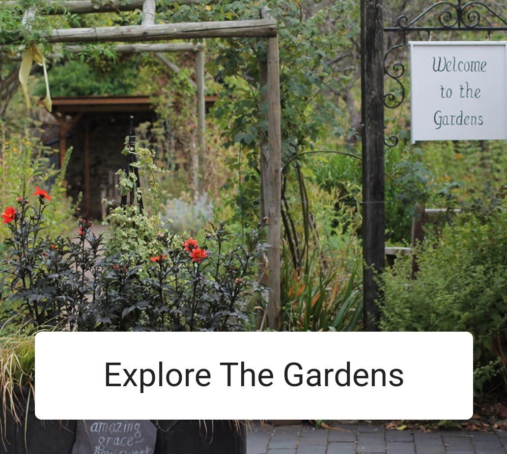 🌸 Refreshments in the Courtyard at Cowper & Newton Museum, Olney - Event Image 4 June 26, 2025 10:30 AM