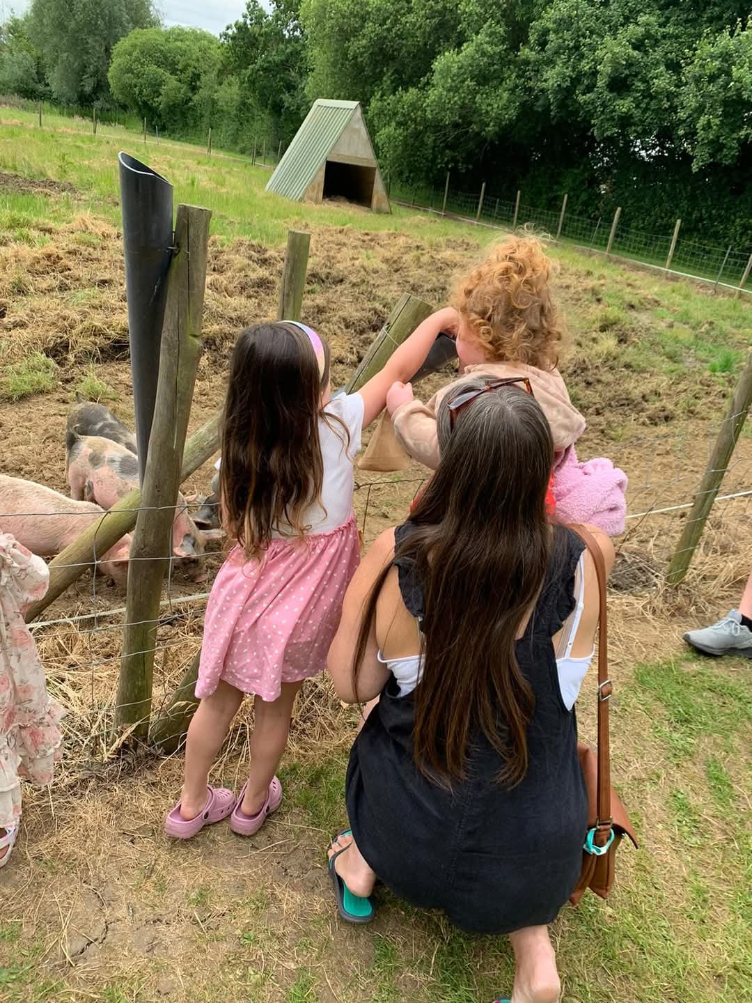 🐷 Graveley Fruit Farm - FREE ENTRY! - Event Image 2 May 27, 2025 10:00 AM