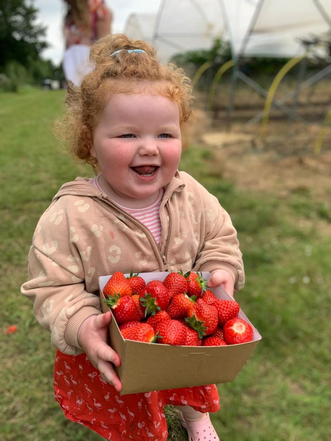 🐷 Graveley Fruit Farm - FREE ENTRY! - Event Image 6 May 27, 2025 10:00 AM