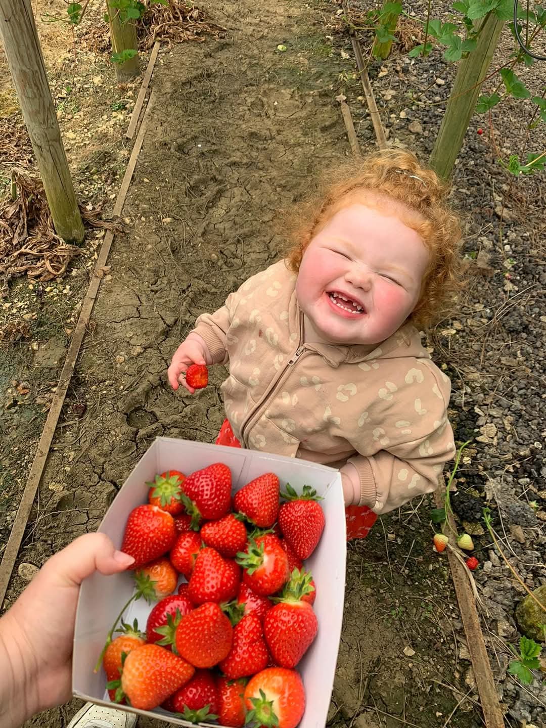 🐷 Graveley Fruit Farm - FREE ENTRY! - Event Image 8 May 27, 2025 10:00 AM