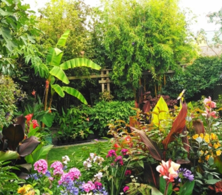 🌸SILSOE OPEN GARDENS - VISIT 3 GARDENS FOR ONE PRICE🌸 at Silsoe Village Gardens,
Bedford,
Bedfordshire,
MK45 4GQ | Family, Food/Drink, Outdoor, Scenic, Charity | Suitable for: Family, Wheelchair Friendly 🌸SILSOE OPEN GARDENS - VISIT 3 GARDENS FOR ONE PRICE🌸 - Event Image 2 August 04, 2024