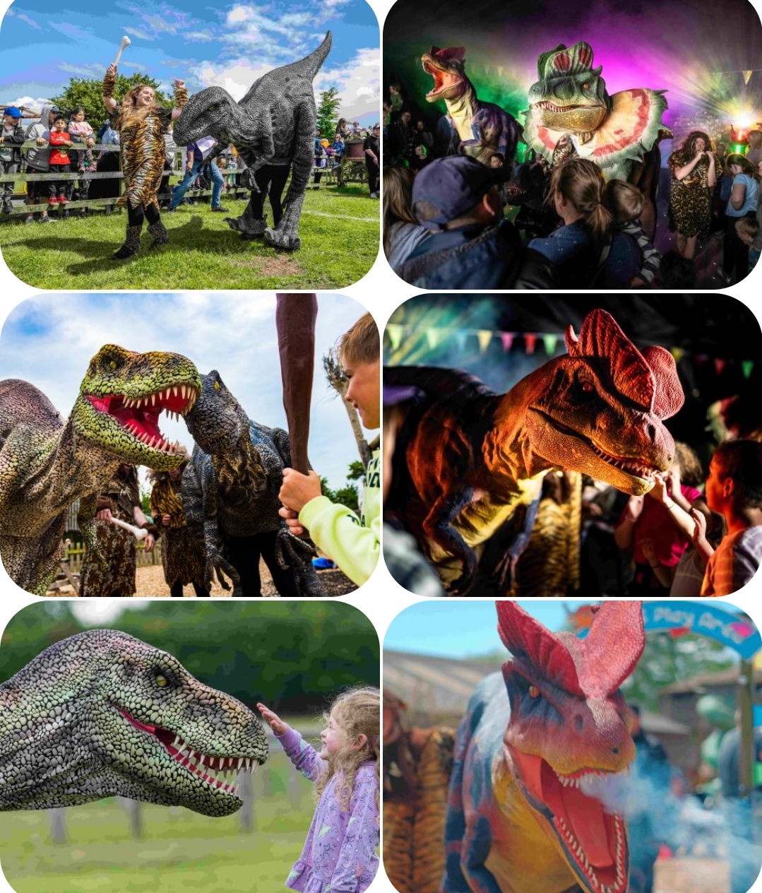 🦖 Dino Week at Mead Open Farm - May Half Term 2025 - Event Image 3 May 27, 2025 10:00 AM