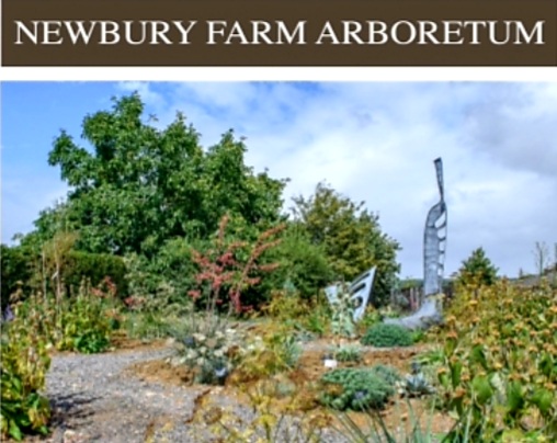 🌸SILSOE OPEN GARDENS - VISIT 3 GARDENS FOR ONE PRICE🌸 at Silsoe Village Gardens,
Bedford,
Bedfordshire,
MK45 4GQ | Family, Food/Drink, Outdoor, Scenic, Charity | Suitable for: Family, Wheelchair Friendly 🌸SILSOE OPEN GARDENS - VISIT 3 GARDENS FOR ONE PRICE🌸 - Event Image 3 August 04, 2024