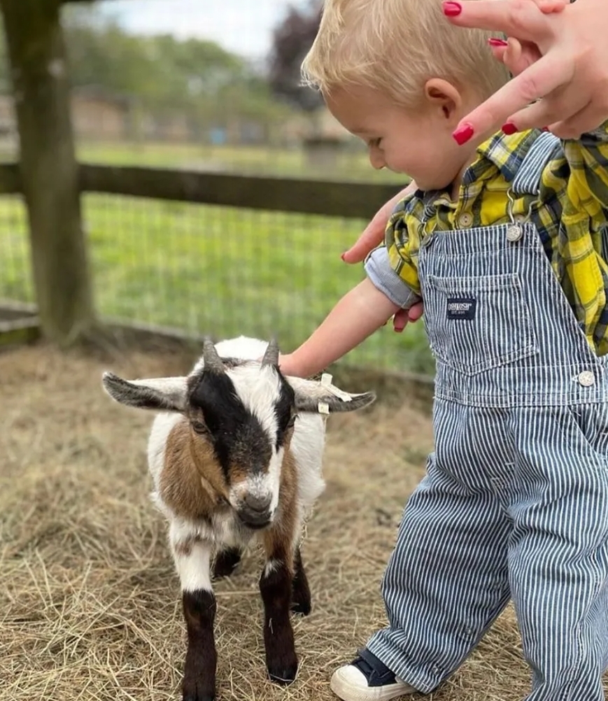 🎠 Woodside Animal Farm May Half Term 2025   - Event Image 2 May 24, 2025 10:00 AM