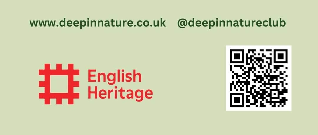🌳 FOREST BATHING AGES 16+ - Silsoe  - Event Image 3 July 31, 2024 10:30 AM