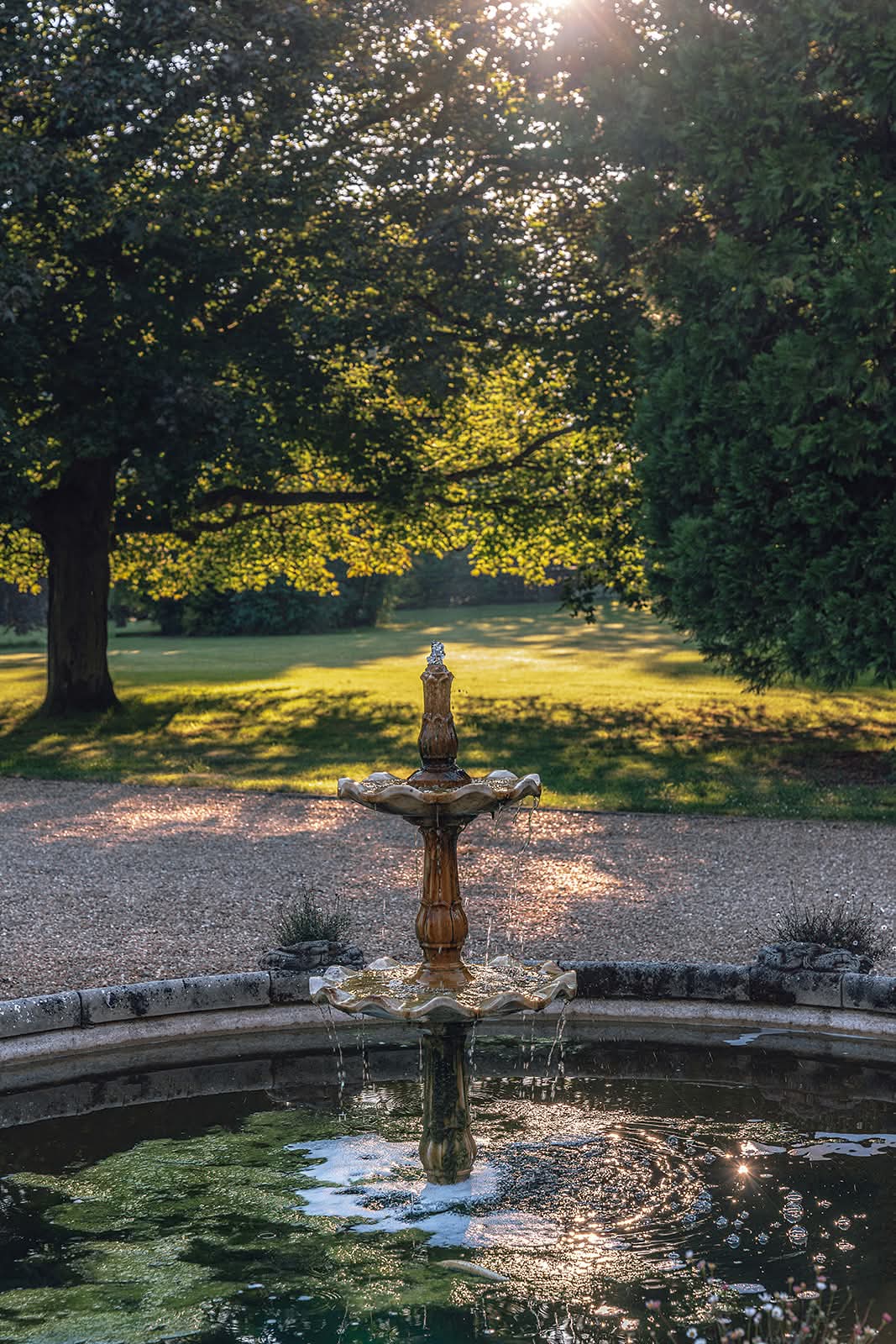 🌸 Open Gardens at Waresley Estate (Free entry) - Event Image 3 May 26, 2025 09:00 AM