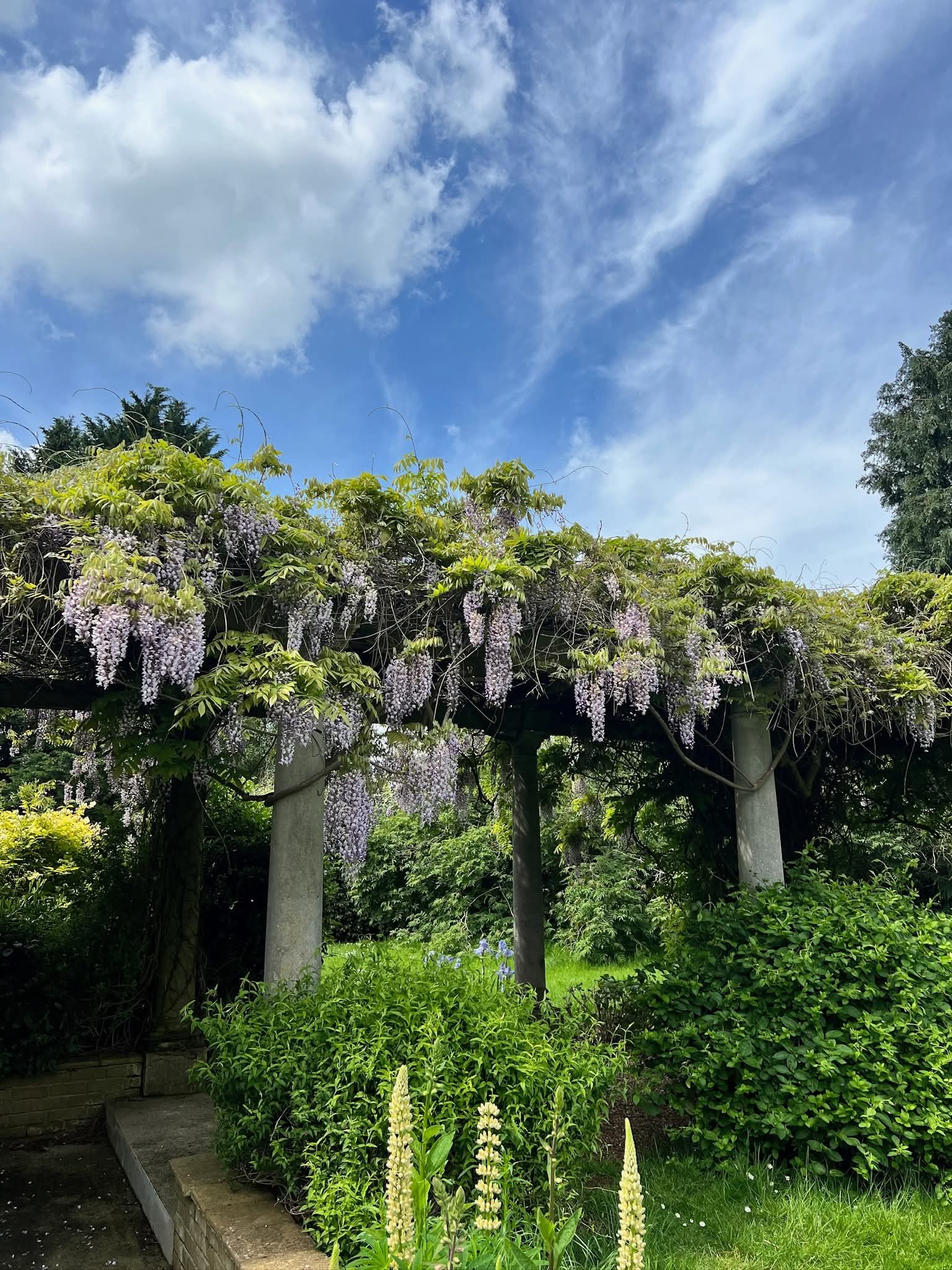 🌸 Open Gardens at Waresley Estate (Free entry) - Event Image 5 May 26, 2025 09:00 AM