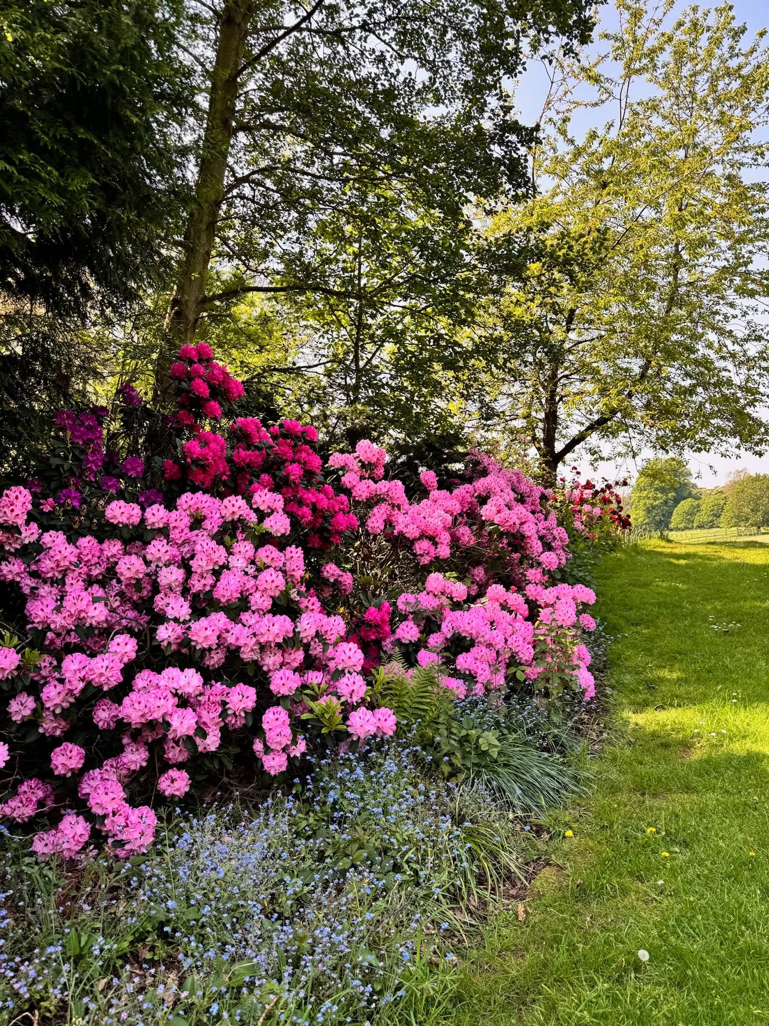 🌸 Open Gardens at Waresley Estate (Free entry) - Event Image 6 May 26, 2025 09:00 AM