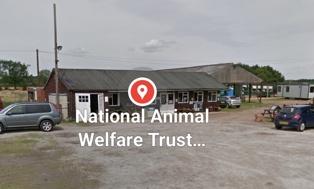 🛍 Jumble Sale - Aspley Guise at National Animal Welfare Trust, Glebe Farm, Salford Rd, Aspley Guise, Milton Keynes MK17 8HZ
| Adults, Charity, Family, Food/Drink, Indoor, Kids, Low Cost, Pay On Entry, Preloved, Rainy Days, Animals | Suitable for: Family 🛍 Jumble Sale - Aspley Guise - Event Image 2 June 29, 2025 10:00 AM