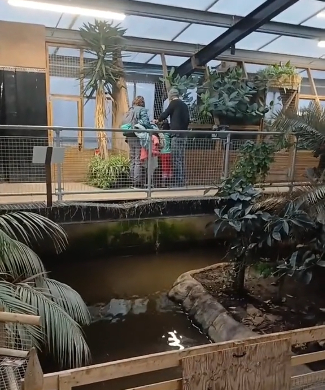 🐊 Johnsons Of Old Hurst Zoo, a cheap day out for all the family... at Johnsons Of Old Hurst, Church St, Old Hurst, Huntingdon PE28 3AF | Adults, Animals, Attractions, Baby/Toddlers, Date Idea, Entertainment, Family, Food/Drink, Fun, Indoor, Kids, Low Cost, Outdoor, Pay On Entry, Teens, Tickets, Fun Fair, Nightlife | Suitable for: Accessible, Baby Changing, Blue Badge Parking, Children, Dog Friendly, Family, Free Parking, Parking Onsite, Toilets 🎪 Carnival Fun Fair 2025 - at Johnsons of Old Hurst at 🐊 Johnsons Of Old Hurst Zoo, a cheap day out for all the family... - Venue Image 1 July 27, 2025 10:00 AM