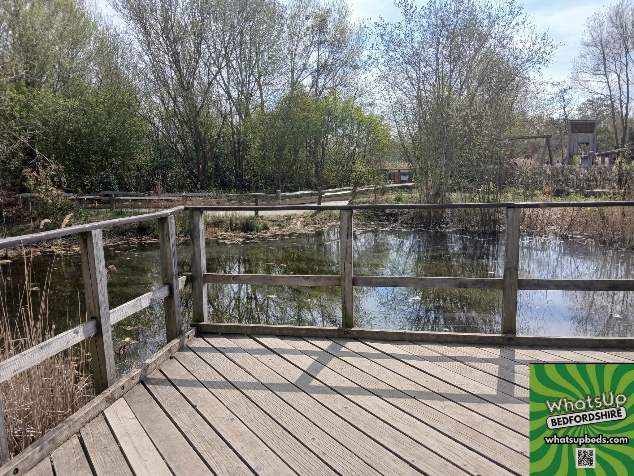 🌳 The Forest Centre, Marston Moretaine  - Image 3 