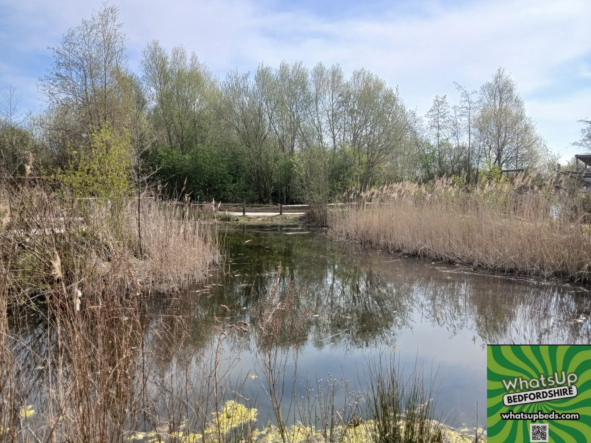🌳 The Forest Centre, Marston Moretaine  - Image 7 