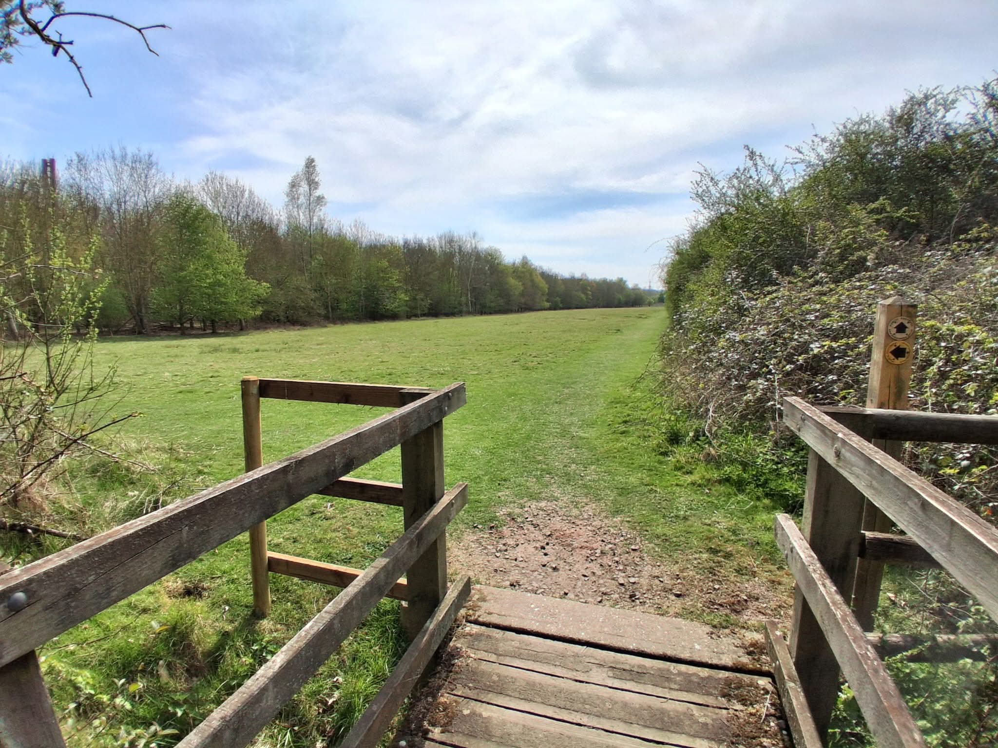 🌳 The Forest Centre, Marston Moretaine  - Image 13 
