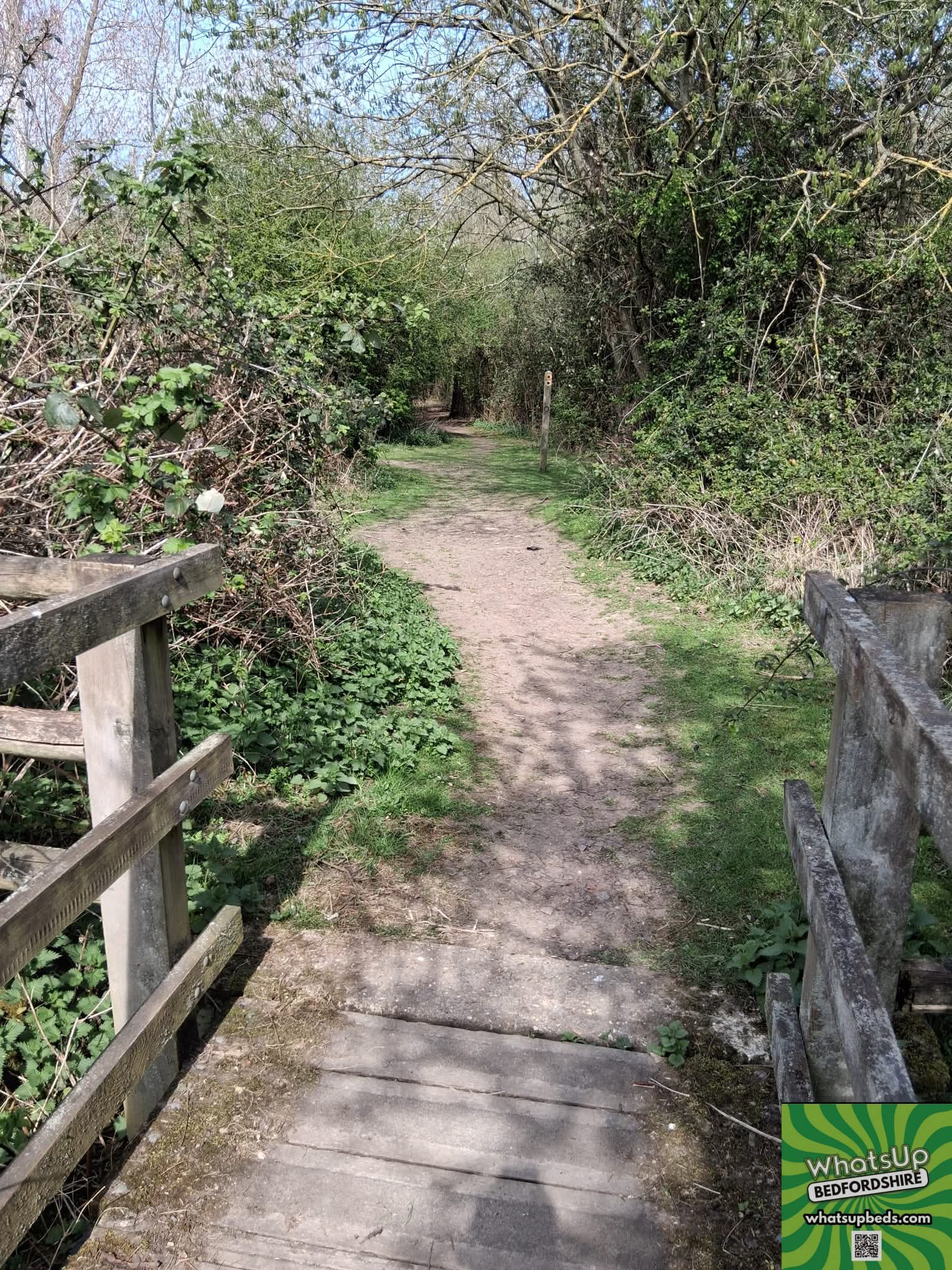 🌳 The Forest Centre, Marston Moretaine  - Image 15 