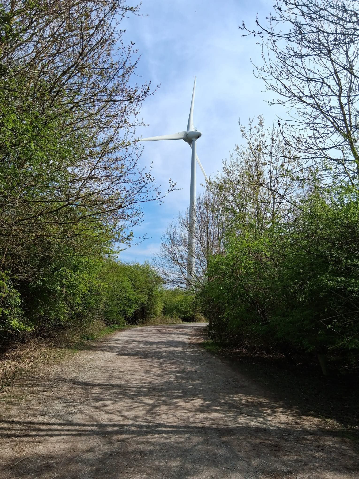 🌳 The Forest Centre, Marston Moretaine  - Image 17 