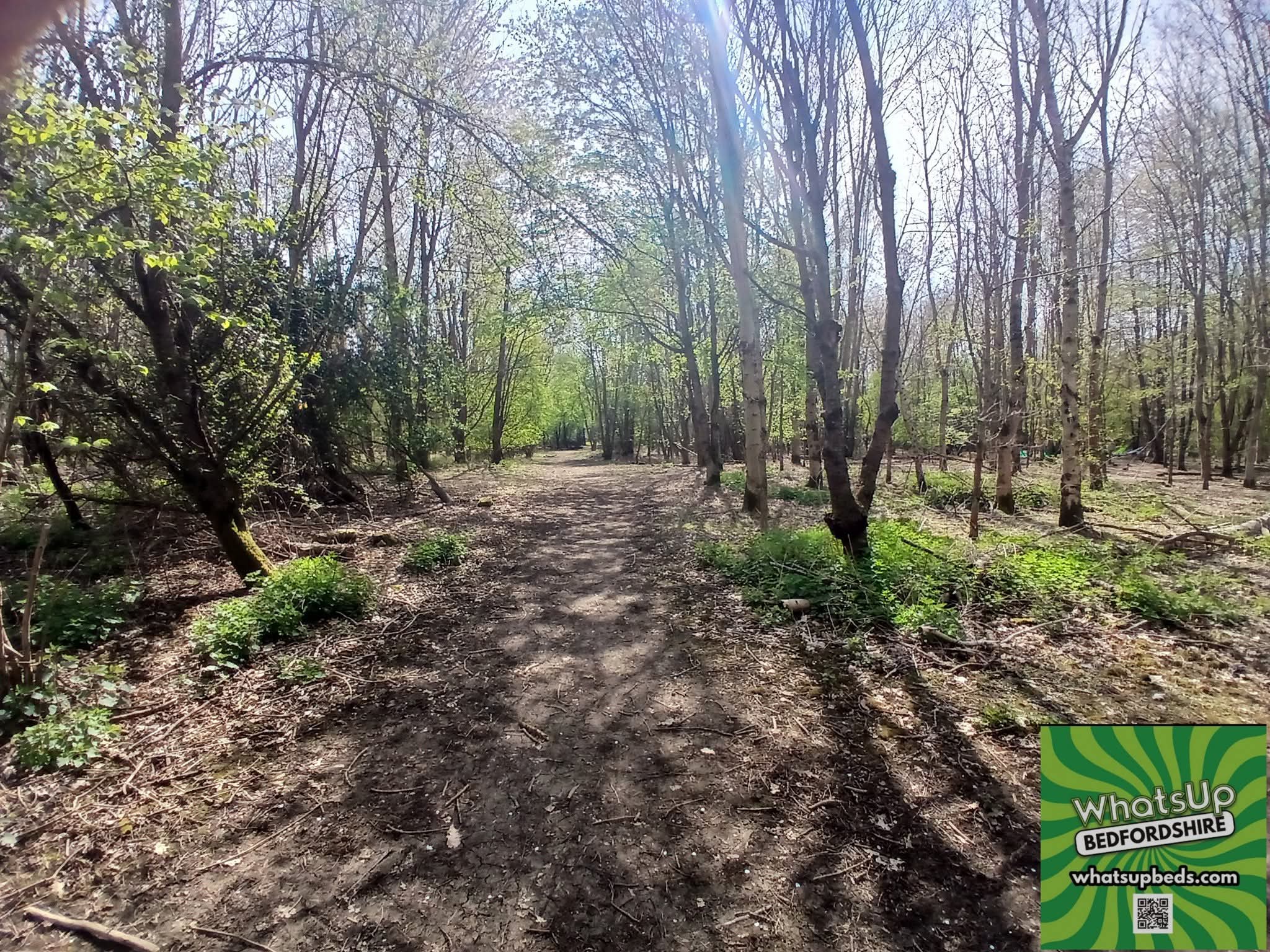 🌳 The Forest Centre, Marston Moretaine  - Image 20 