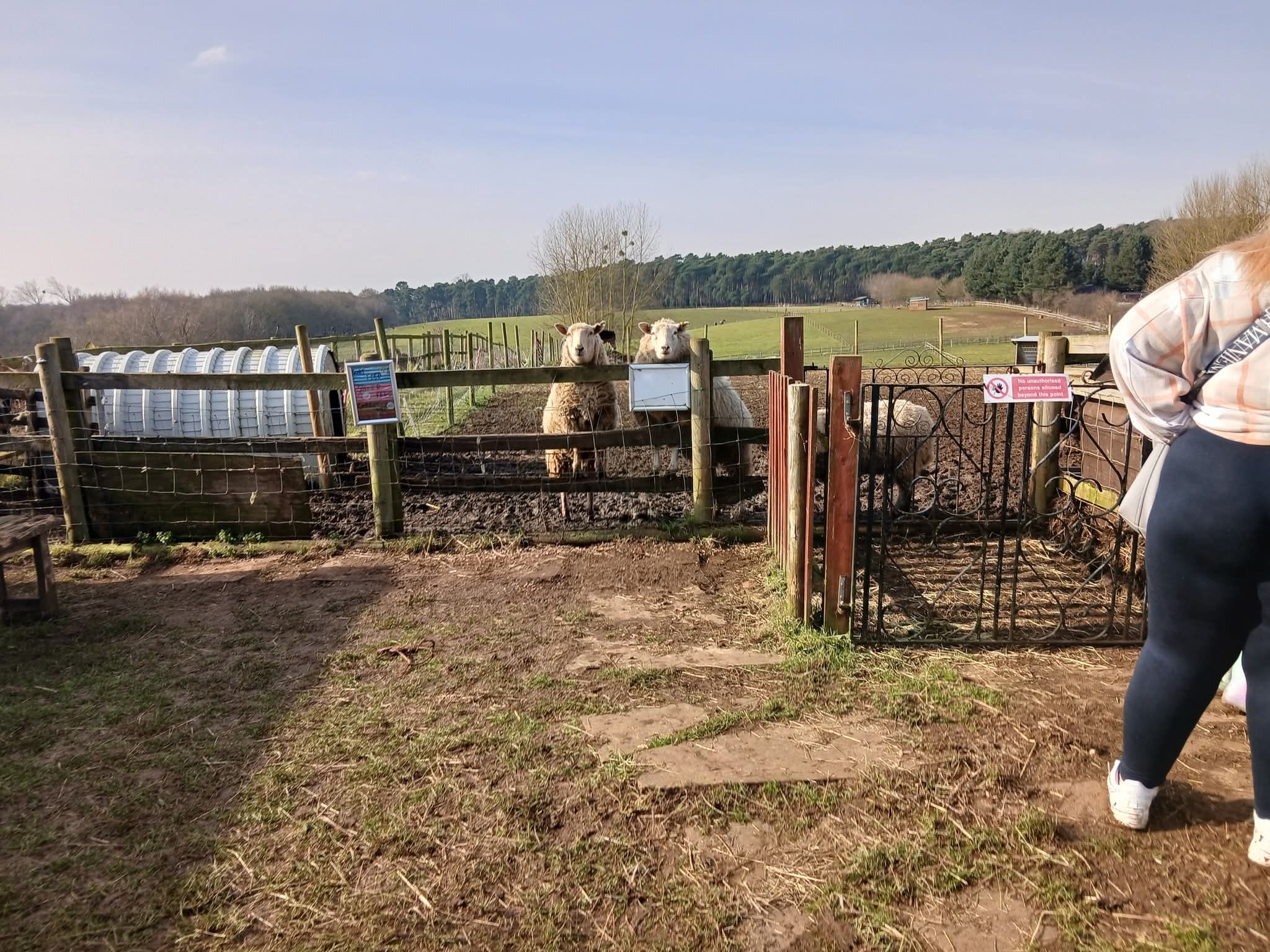 🐰 Family Fun Day 2025 - Animal Edge Farm, Millbrook at Animal Edge, Fordfield Road, Millbrook
MK45 2HZ | Advance Booking, Animals, Attractions, Baby/Toddlers, Family, Food/Drink, Fun, Half Term, Kids, Low Cost, Play Area, Ticket Event, Outdoor | Suitable for: Children, Family, Free Parking, Parking Onsite, Toilets 🐰 Family Fun Day 2025 - Animal Edge Farm, Millbrook - Event Image 8 August 25, 2025 10:00 AM