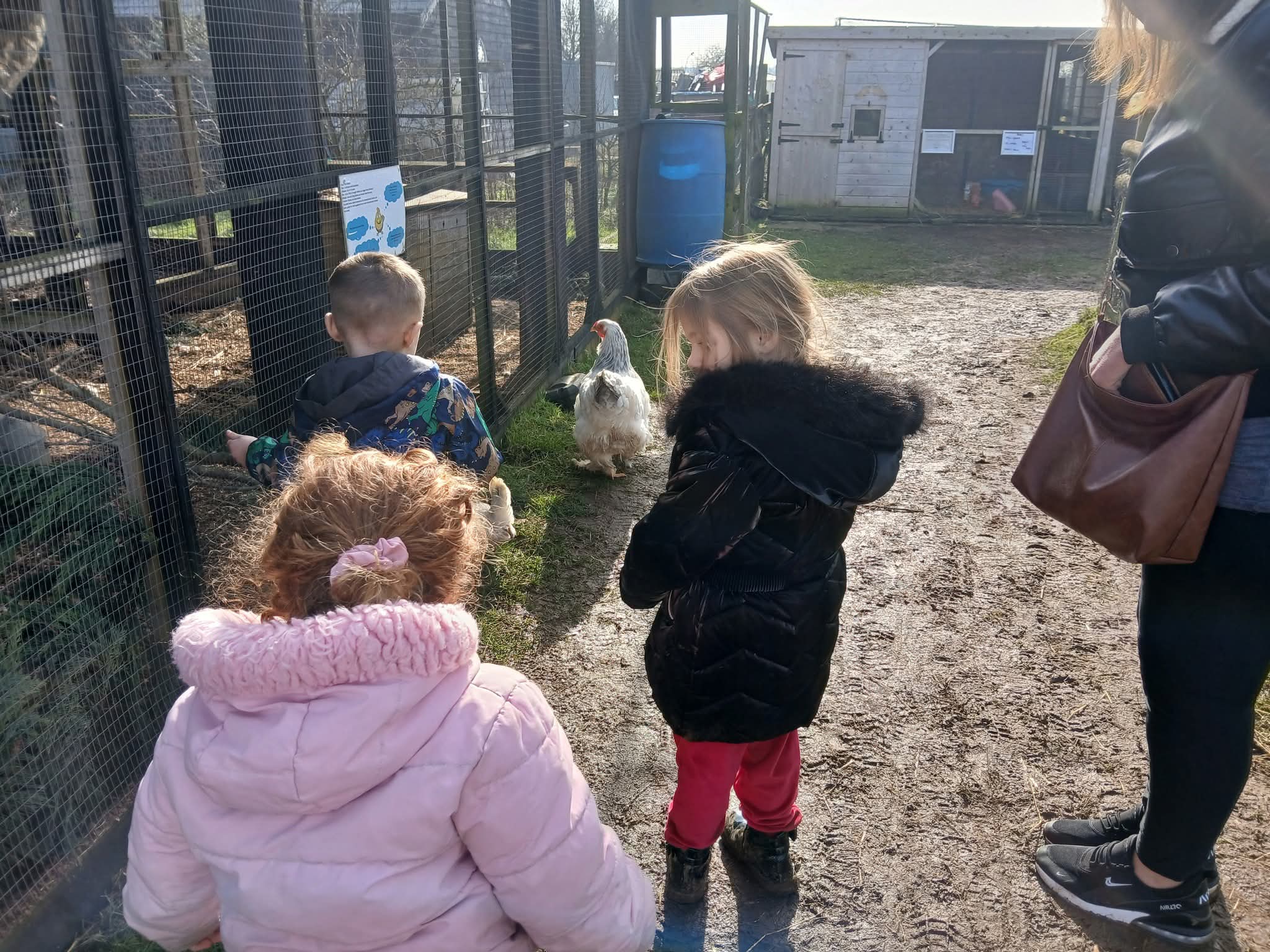 🐰 Family Fun Day 2025 - Animal Edge Farm, Millbrook at Animal Edge, Fordfield Road, Millbrook
MK45 2HZ | Advance Booking, Animals, Attractions, Baby/Toddlers, Family, Food/Drink, Fun, Half Term, Kids, Low Cost, Play Area, Ticket Event, Outdoor | Suitable for: Children, Family, Free Parking, Parking Onsite, Toilets 🐰 Family Fun Day 2025 - Animal Edge Farm, Millbrook - Event Image 12 August 25, 2025 10:00 AM