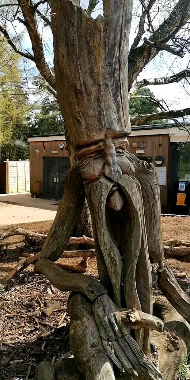 🐞 Insect Trail 2025 - Rushmere Country Park at Rushmere Country Park, Linslade Road, Heath and Reach, LU7 0EB | Activities, Baby/Toddlers, Education, Family, Fun, Half Term, Kids, Low Cost, Outdoor, Pay On Entry, Play Area, Play Parks, Food/Drink, Scenic, Walks, Water | Suitable for: Accessible, Baby Changing, Children, Family, Parking Onsite, Toilets 🐞 Insect Trail 2025 - Rushmere Country Park - Event Image 3 August 05, 2025 09:00 AM