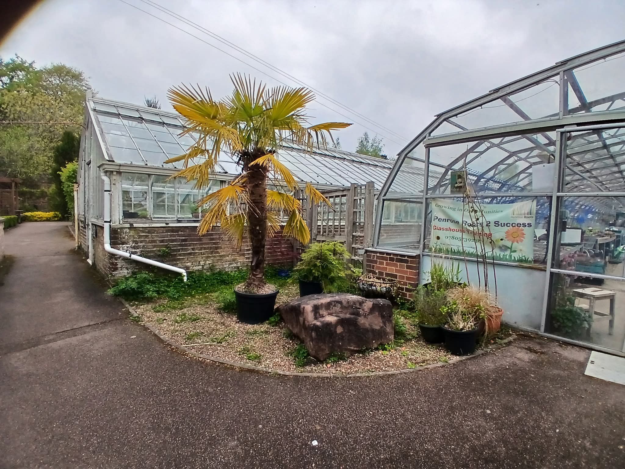 🌳 Annual Bonsai Show 2025 - Stockwood Discovery Centre at 🌳 Stockwood Discovery Centre, Luton (FREE) - Venue Image 8 June 15, 2025 11:00 AM