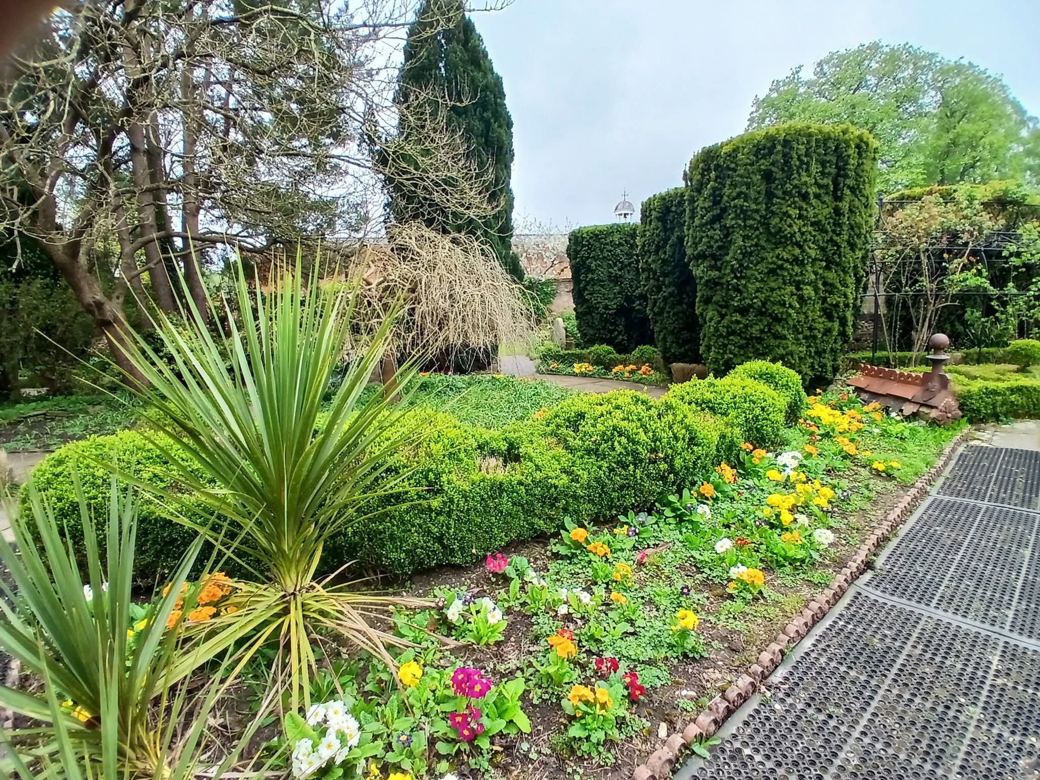 🌳 Annual Bonsai Show 2025 - Stockwood Discovery Centre at 🌳 Stockwood Discovery Centre, Luton (FREE) - Venue Image 27 June 15, 2025 11:00 AM