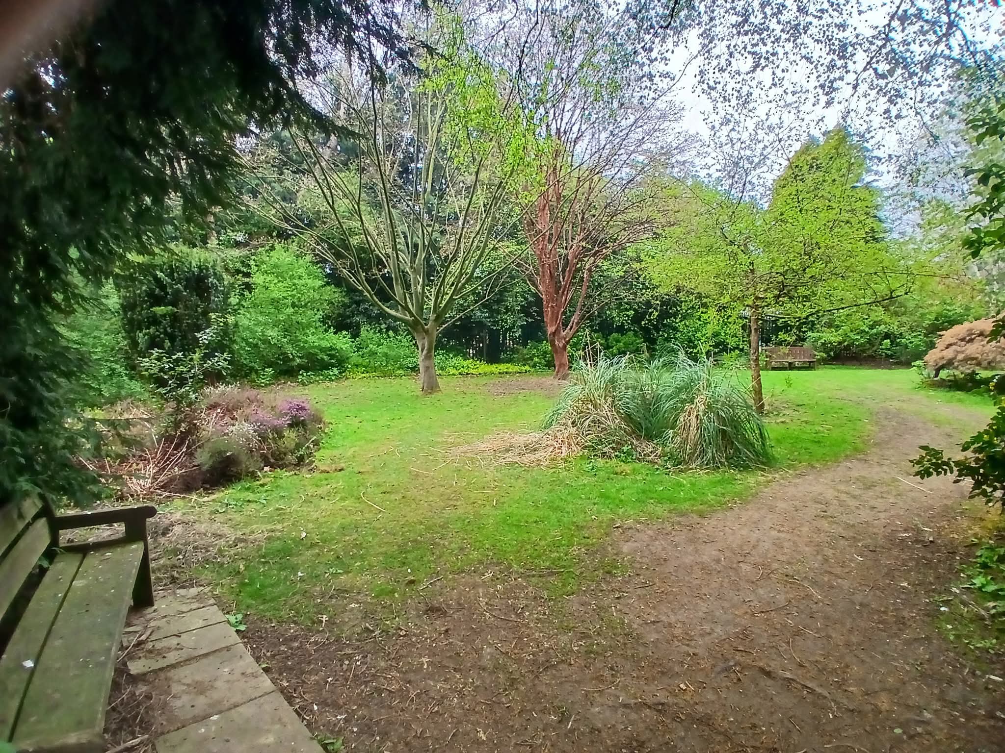 🌳 Annual Bonsai Show 2025 - Stockwood Discovery Centre at 🌳 Stockwood Discovery Centre, Luton (FREE) - Venue Image 28 June 15, 2025 11:00 AM