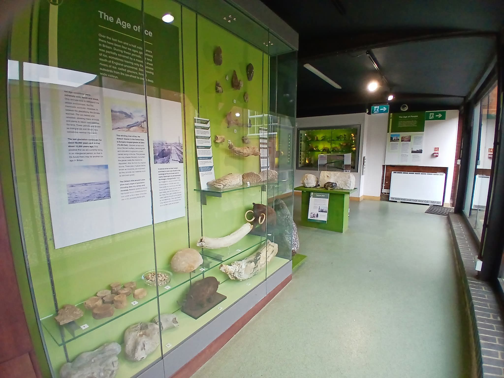 🌳 Annual Bonsai Show 2025 - Stockwood Discovery Centre at 🌳 Stockwood Discovery Centre, Luton (FREE) - Venue Image 30 June 15, 2025 11:00 AM