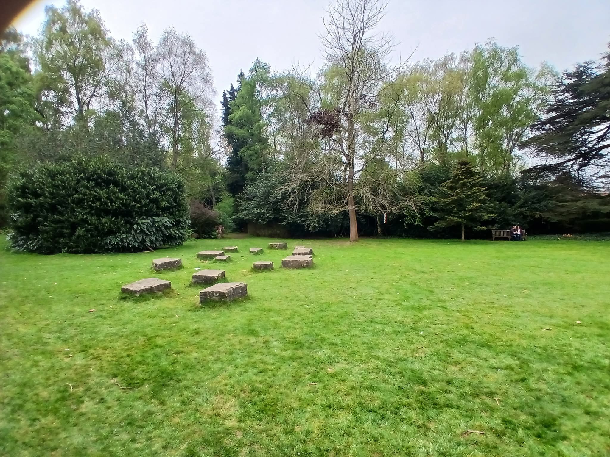 🌳 Annual Bonsai Show 2025 - Stockwood Discovery Centre at 🌳 Stockwood Discovery Centre, Luton (FREE) - Venue Image 35 June 15, 2025 11:00 AM