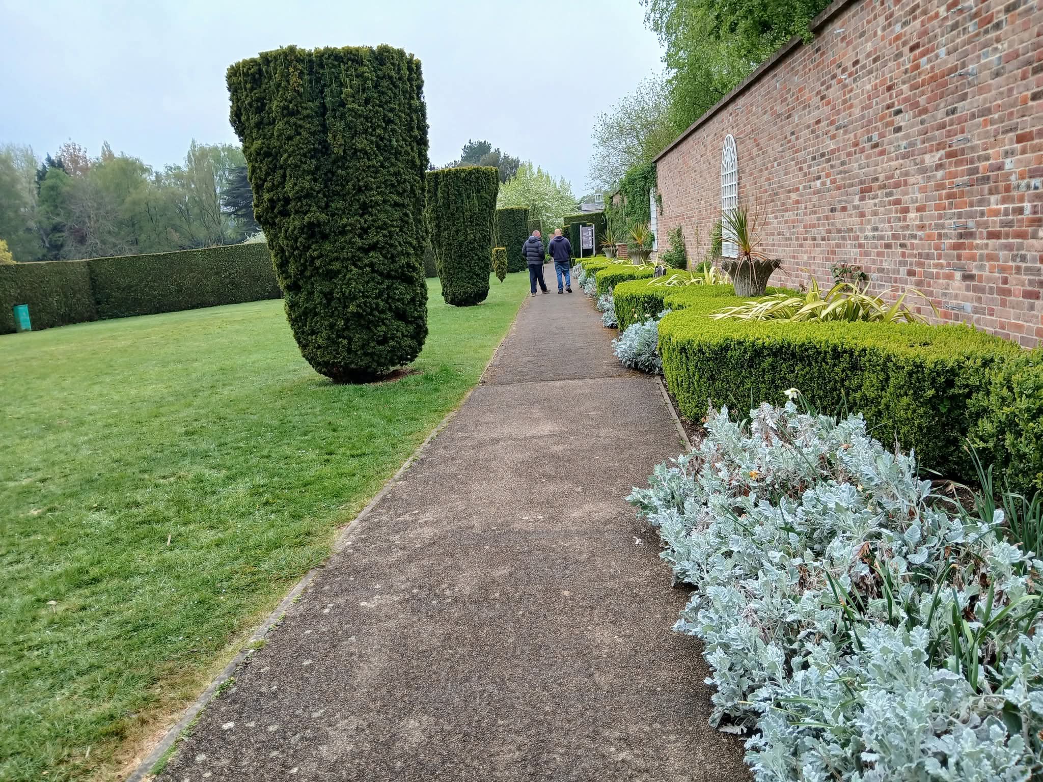 🌳 Annual Bonsai Show 2025 - Stockwood Discovery Centre at 🌳 Stockwood Discovery Centre, Luton (FREE) - Venue Image 40 June 15, 2025 11:00 AM