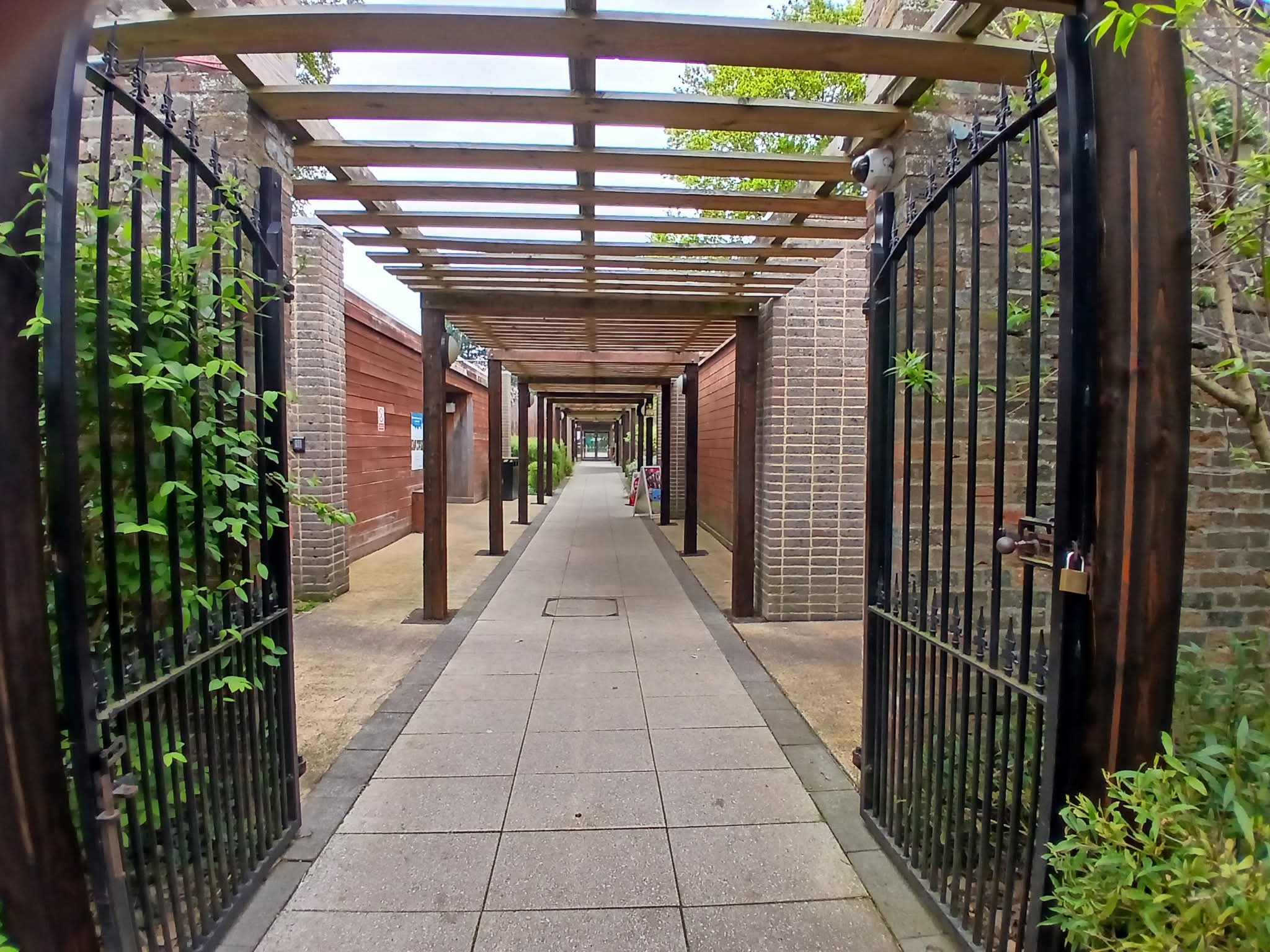 🌳 Annual Bonsai Show 2025 - Stockwood Discovery Centre at 🌳 Stockwood Discovery Centre, Luton (FREE) - Venue Image 41 June 15, 2025 11:00 AM