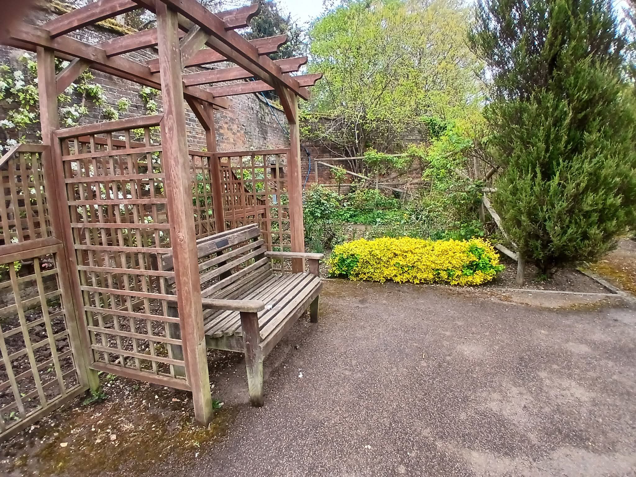 🌳 Annual Bonsai Show 2025 - Stockwood Discovery Centre at 🌳 Stockwood Discovery Centre, Luton (FREE) - Venue Image 54 June 15, 2025 11:00 AM