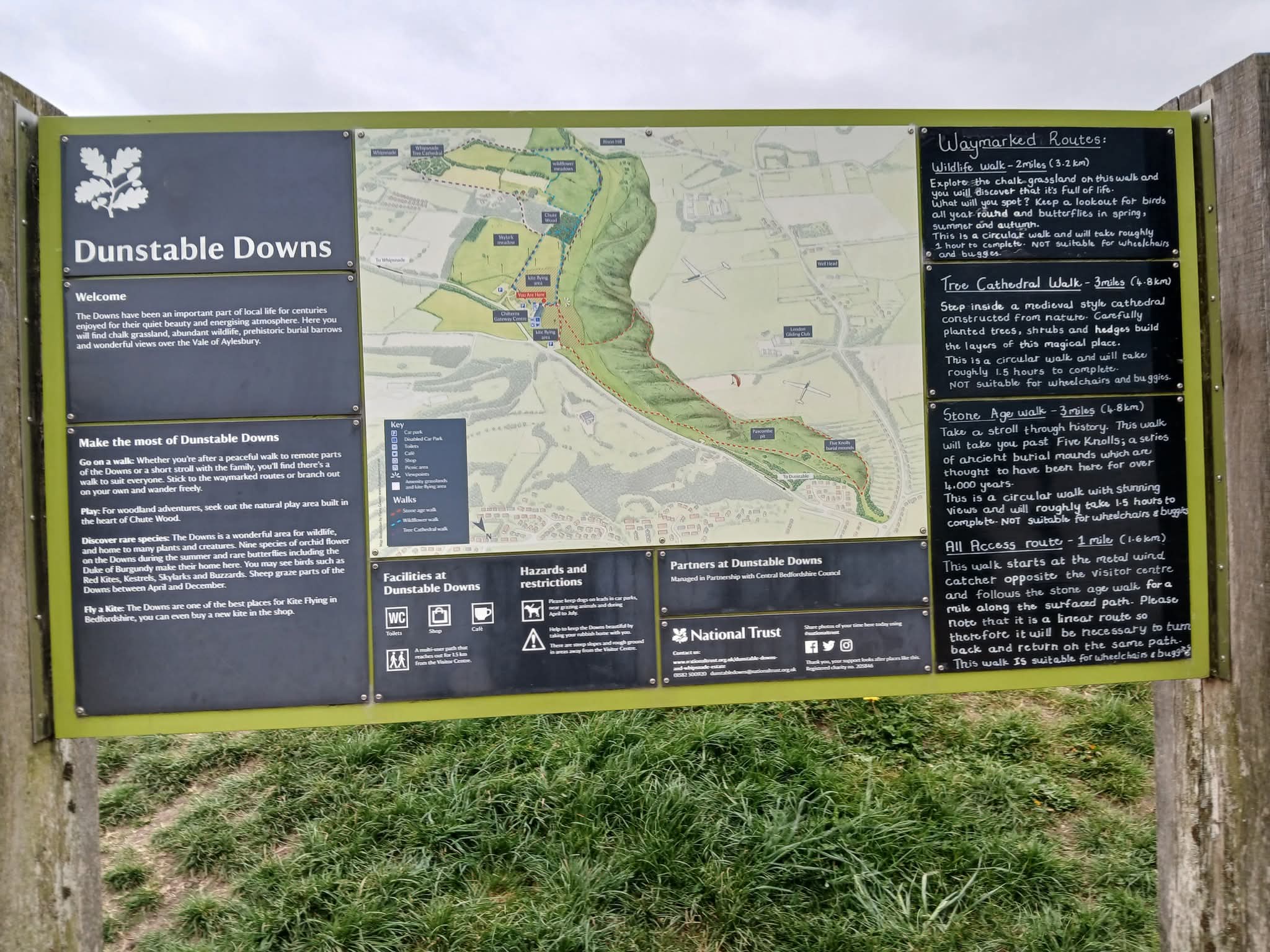 🚶‍♂️Dunstable Downs - Image 1 