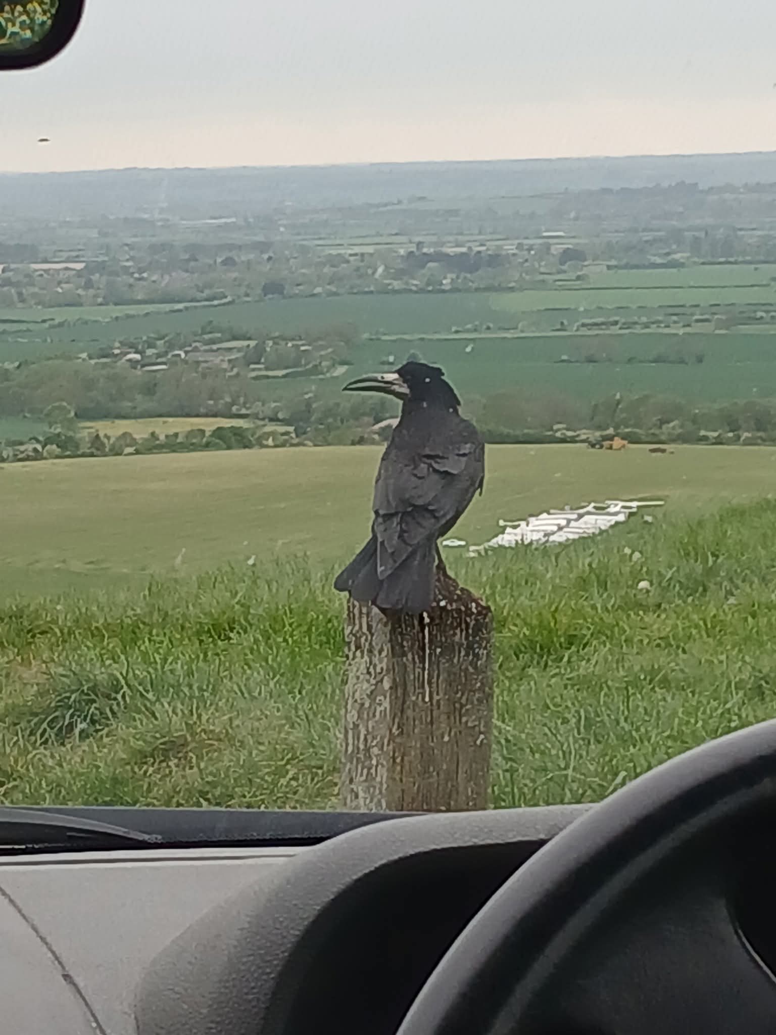 🚶‍♂️Dunstable Downs - Image 2 