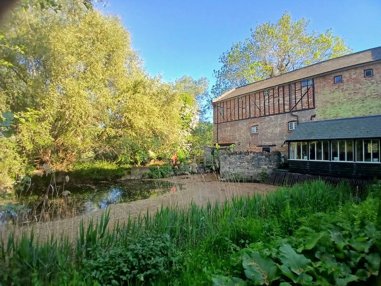 ☕️ Bromham Mill Coffee Shop - Image 48 