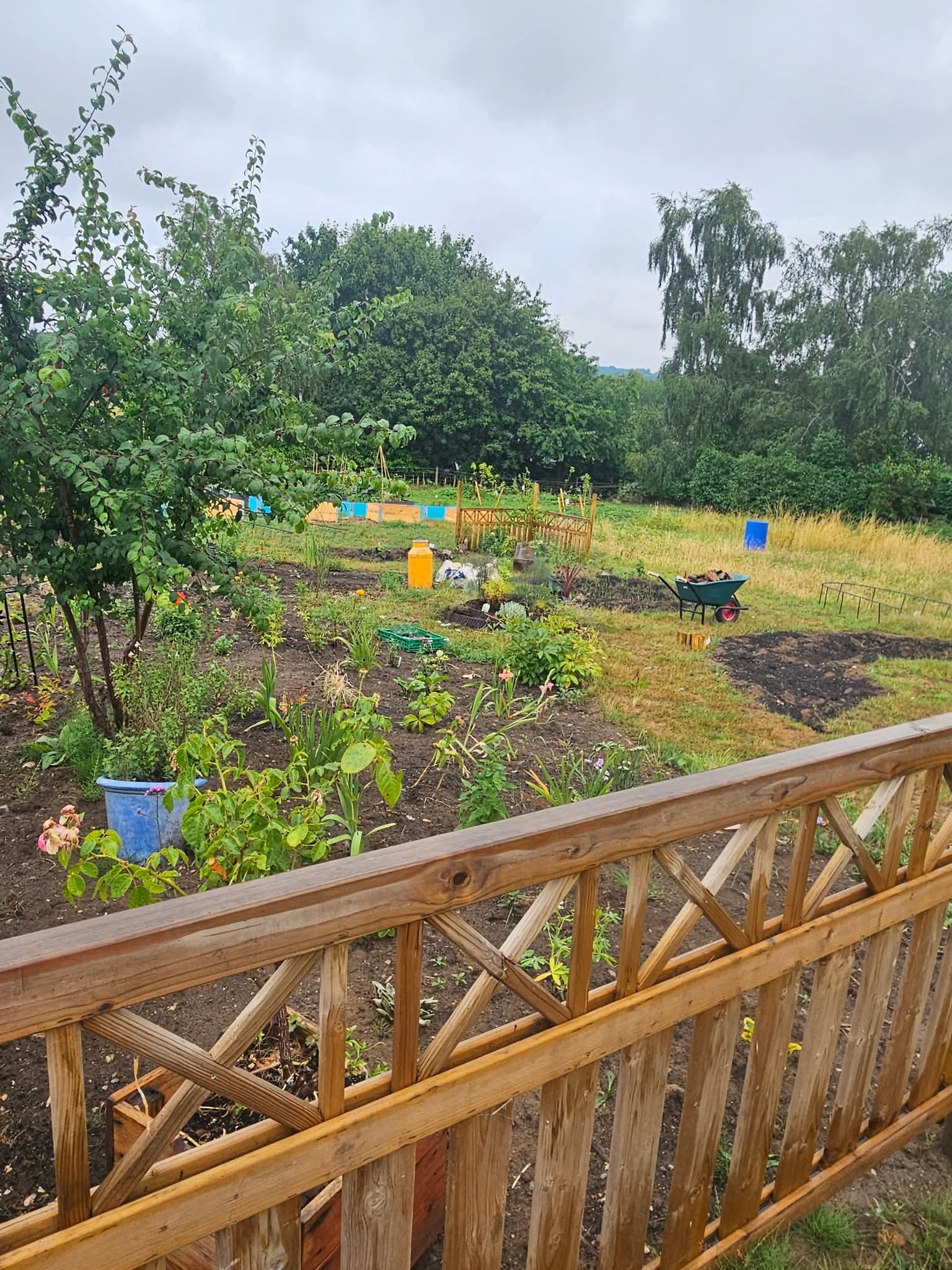 🎊 Clophill Therapeutic Garden Grand Opening 2025 - Event Image 2 August 09, 2025 12:00 PM