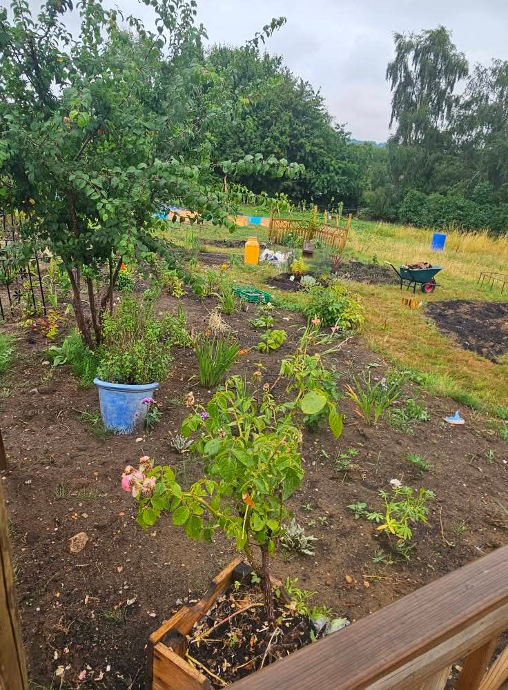 🎊 Clophill Therapeutic Garden Grand Opening 2025 - Event Image 3 August 09, 2025 12:00 PM