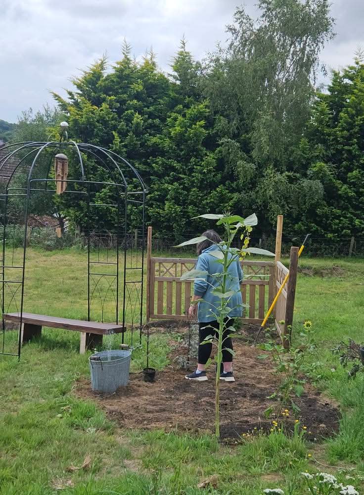 🎊 Clophill Therapeutic Garden Grand Opening 2025 - Event Image 4 August 09, 2025 12:00 PM