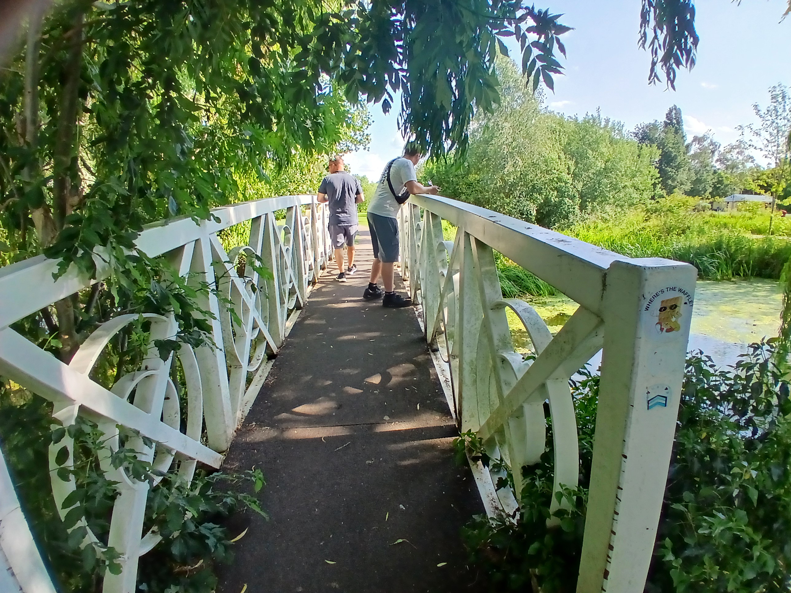 🚂 Riverside Miniature Train - St Neots at St Neots Riverside Car Park, PE19 7HD | Automotive, Baby/Toddlers, Family, Fun, Half Term, Kids, Outdoor, Pay On Entry, Play Parks, Recurring, Walks, Water | Suitable for: Accessible, Children, Dog Friendly, Family, Parking Onsite 🚂 Riverside Miniature Train - St Neots - Event Image 5 August 06, 2025 12:00 PM